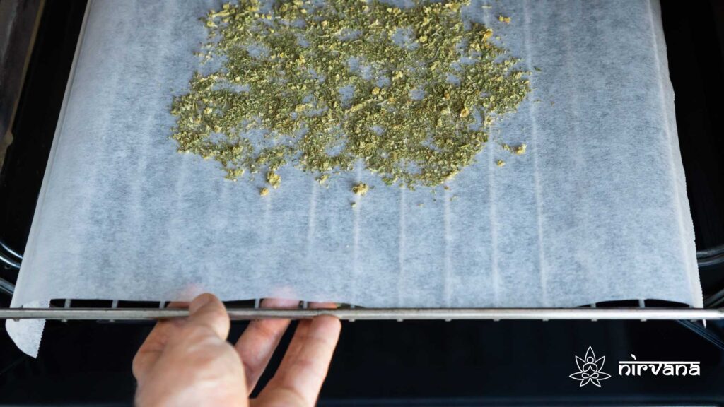 Hand placing cannabis on parchment paper into the oven