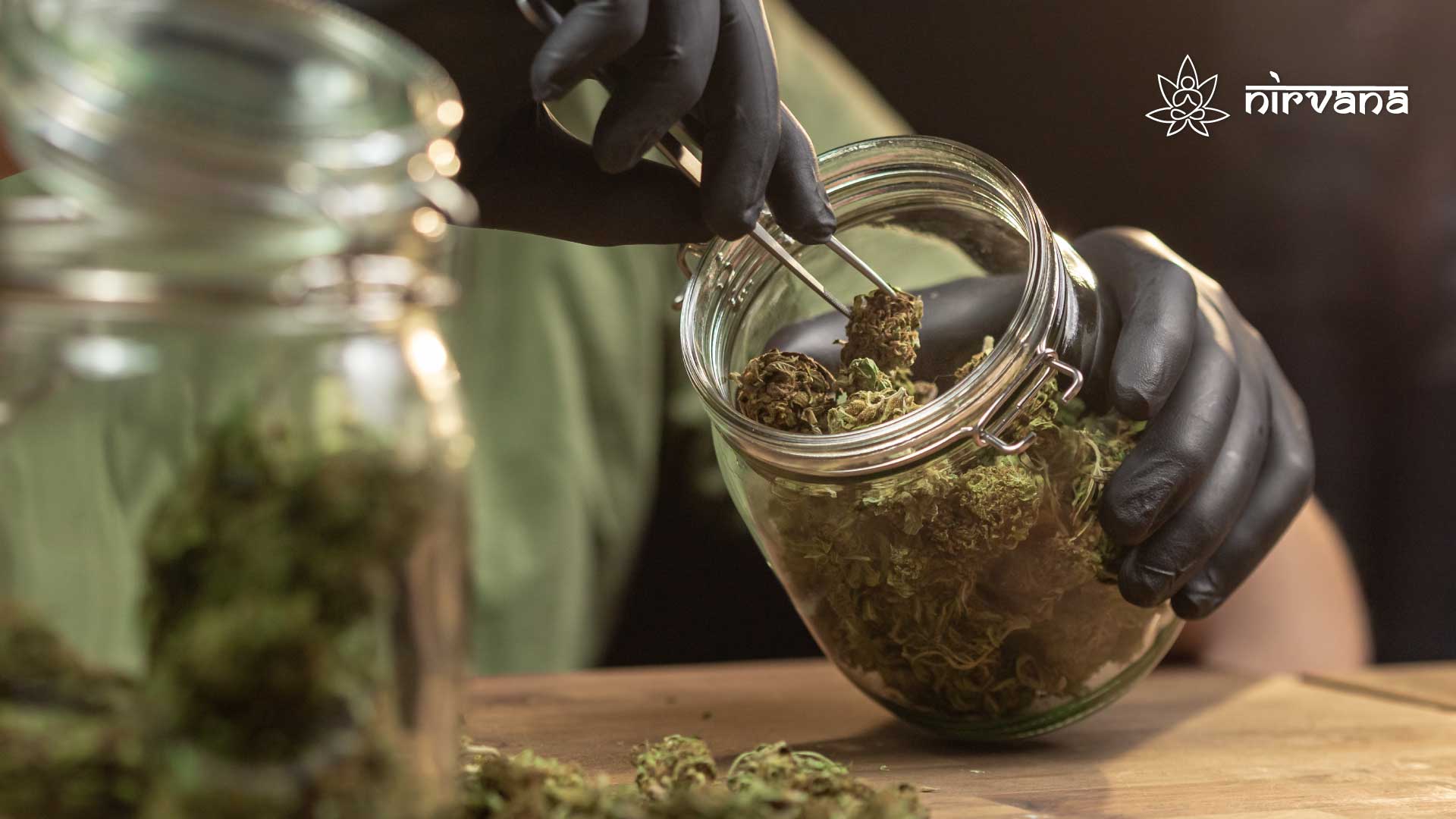 Hands using tongs to handle cannabis buds in a jar