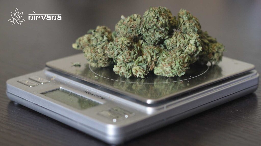 Cannabis buds placed on a digital scale for precise measurement. Nirvana logo in the top left corner.