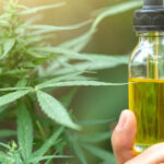Cannabis Oil bottle showing golden extract, representing full-spectrum and broad-spectrum options.